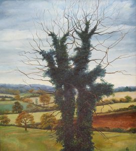 विंटर स्काई, 1998,